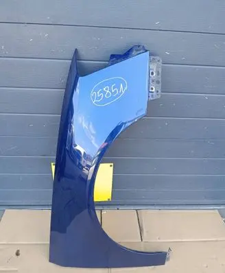 Volkswagen PASSAT B6 Fender