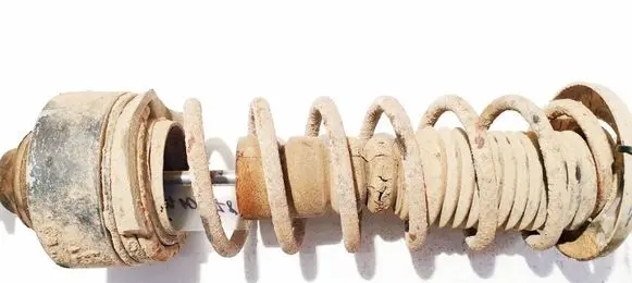 Rear coil spring