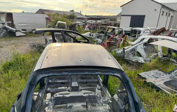 Ford Focus Roof 