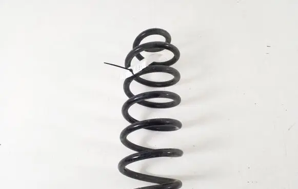 Renault Kadjar Rear coil spring 550204EA0B