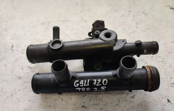 Thermostat/thermostat housing