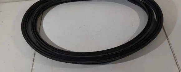 Renault Zoe Rubber seal front coupe door 