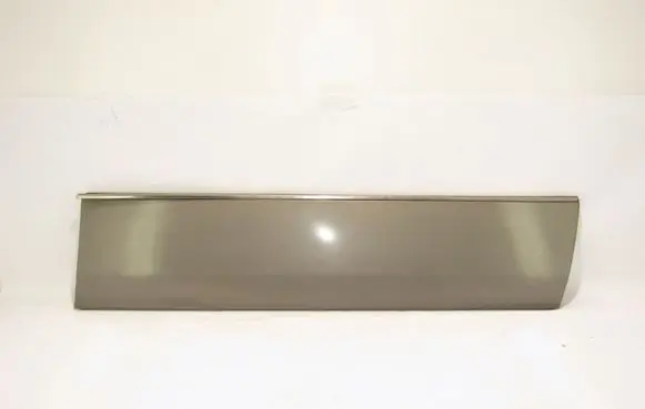 Mercedes-Benz S W140 Front door trim (molding) 1406900440R