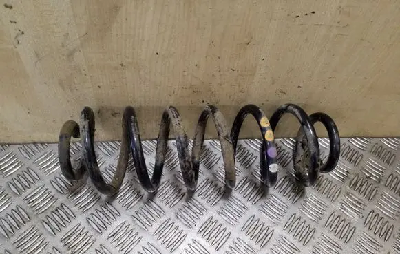 Volkswagen Tiguan Rear coil spring