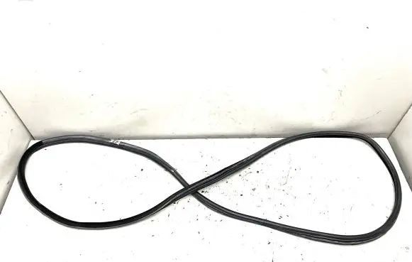 BMW X5 E70 Rubber seal rear door 7207222