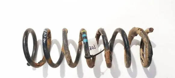 Ford Focus C-MAX Rear coil spring