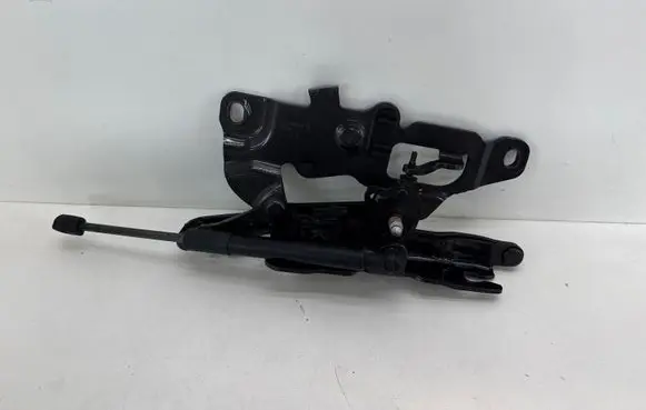 BMW 5 F10 F11 Engine bonnet/hood hinges 7249888 ES03