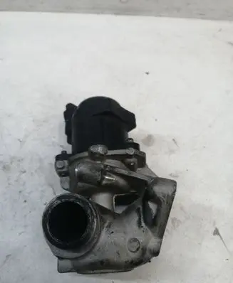 Ford Focus EGR valve 062015