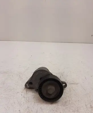 Nissan NV400 Generator/alternator belt tensioner 117507568R