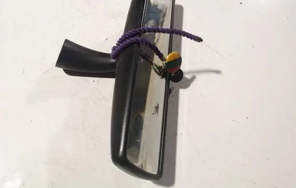 Volkswagen Jetta V Rear view mirror (interior) e1010783