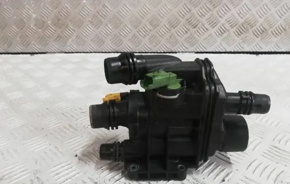 Thermostat/thermostat housing
