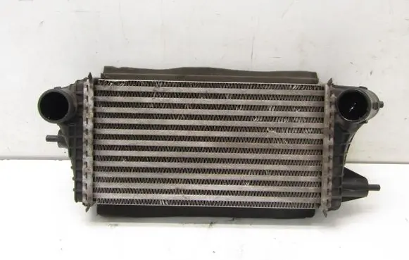 Suzuki Swift III Intercooler radiator 1362052R40