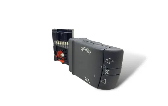 Multifunctional control switch/knob