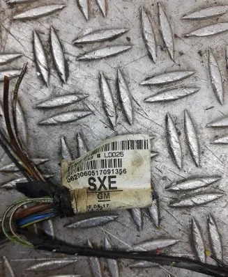 Opel Zafira B Fuse module