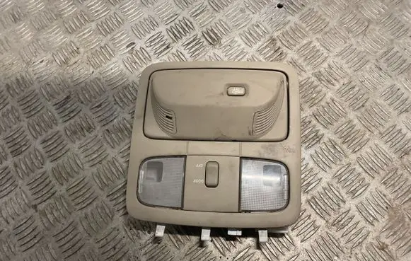 Toyota Land Cruiser (J120) Headlining roof cover 