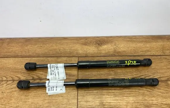 Ford Mustang VII Tailgate strut PR3B-C406A10-BC.pi