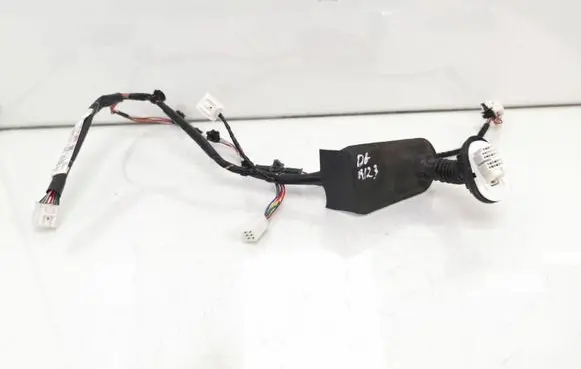 Rear door wiring loom