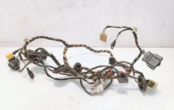 Front door wiring loom