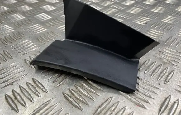 Rear/tail light trim molding