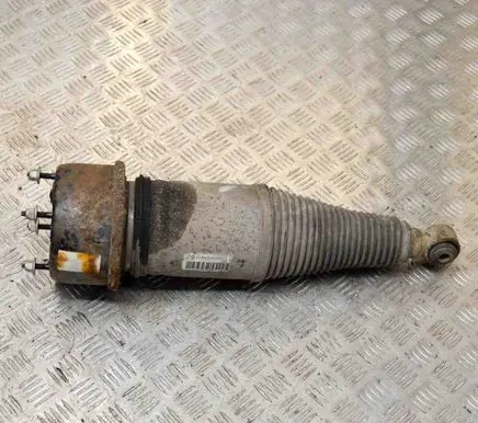 Rear shock absorber/damper