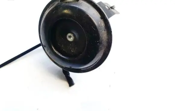 Horn signal