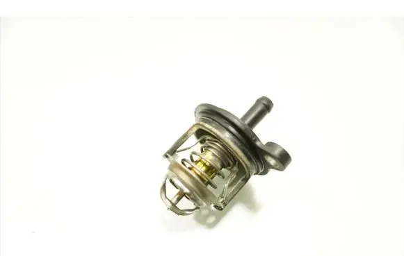 Ford Focus Thermostat/thermostat housing CM5G-8575-HA
