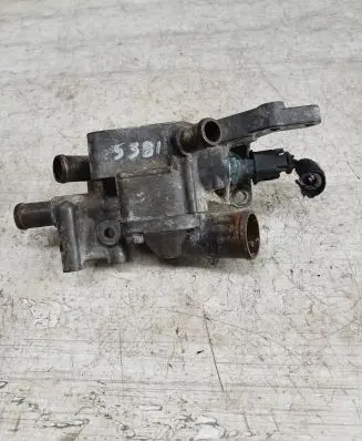 Thermostat/thermostat housing