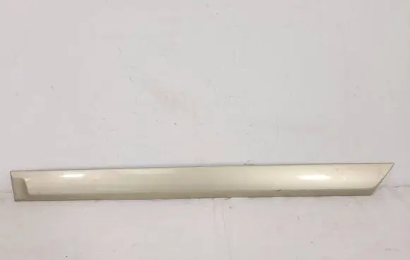 Opel Astra H Rear door trim (molding) 24461102