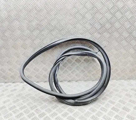 Jeep Grand Cherokee (WK) Rubber seal front coupe door 55399256AE