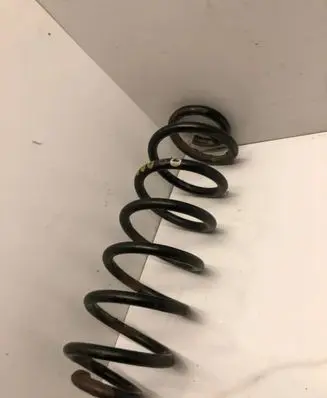 Volkswagen PASSAT B6 Rear coil spring