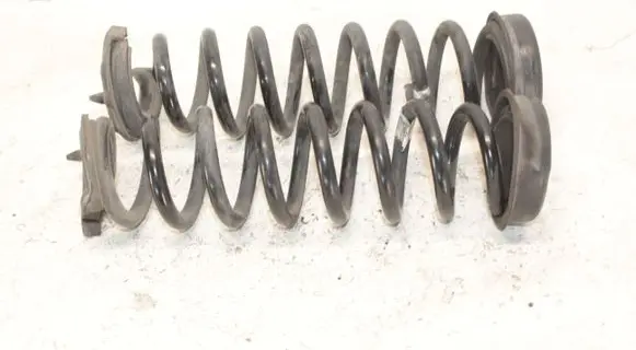 Rear coil spring