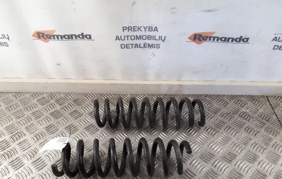 Rear coil spring