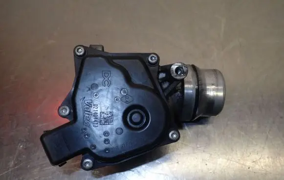 Nissan Juke I F15 Electric throttle body valve 