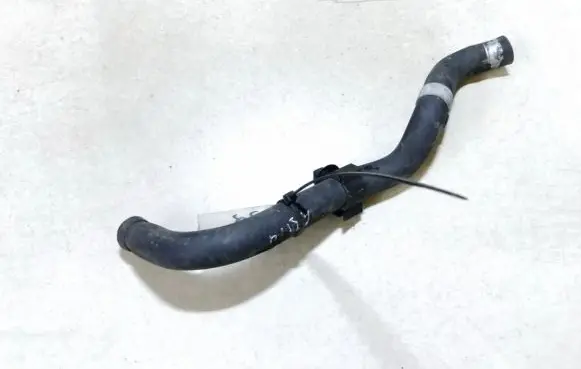Nissan Almera Tino Engine coolant pipe/hose