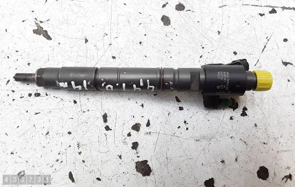 Land Rover Range Rover Evoque L538 Fuel injector