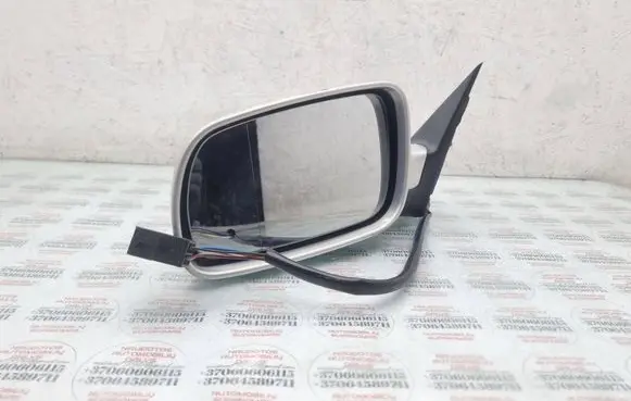 Volkswagen PASSAT B5 Front door electric wing mirror E1020479