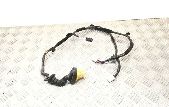 Hyundai Atos Prime Front door wiring loom/harness boot 
