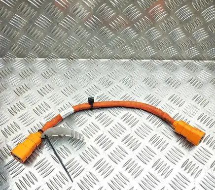 Audi E-tron GT Other wiring loom 9J1971059A