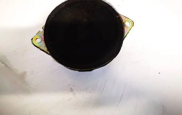 Chrysler 300 - 300C Front door speaker p05059068ab