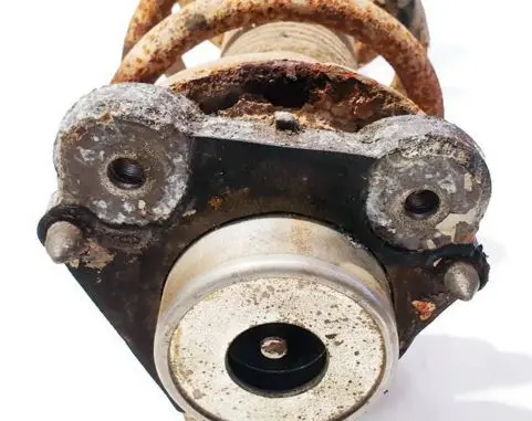 Coil spring mount