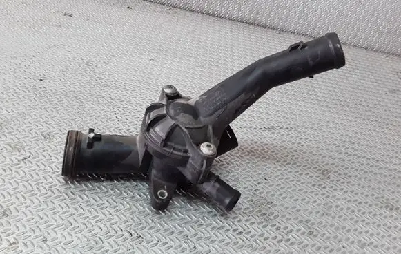 Thermostat/thermostat housing