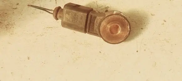 Volkswagen Fox Detonation knock sensor 0261231146