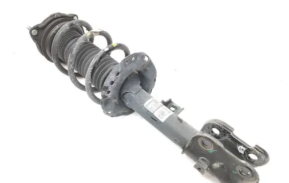 Hyundai Santa Fe Front shock absorber with coil spring 54601S2100
