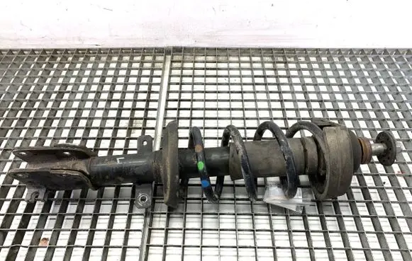 Opel Vivaro Front shock absorber/damper 543028941R