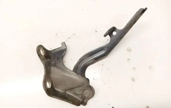 Lexus RX 300 Engine bonnet/hood hinges 