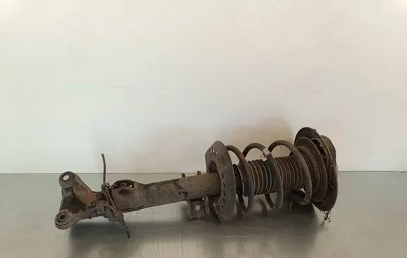 Mercedes-Benz CLS C218 X218 Front shock absorber with coil spring 