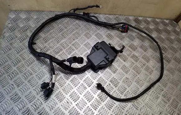 Other wiring loom