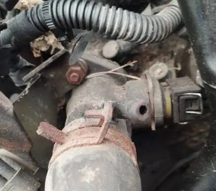 Ford Galaxy Engine coolant pipe/hose