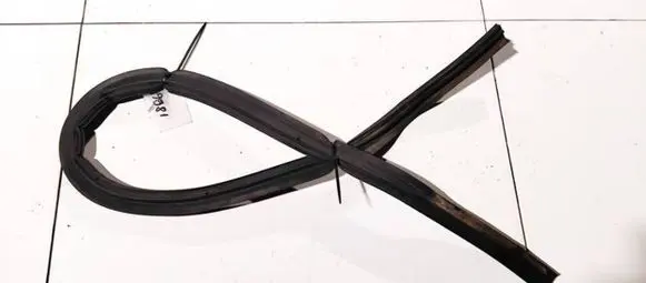 Renault Laguna II Rubber seal front coupe door 