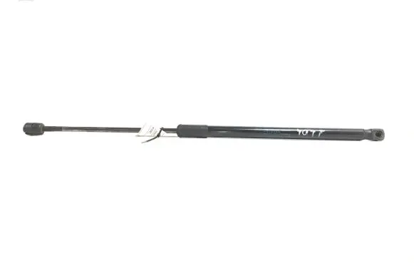 Tailgate strut